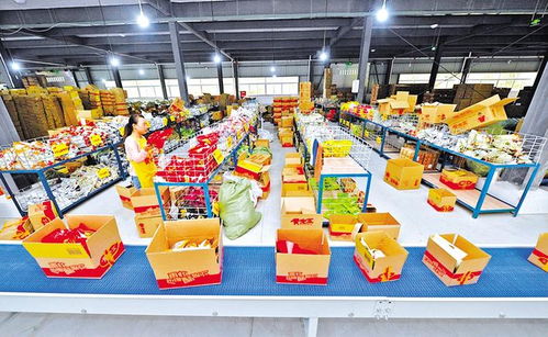 内江日报 餐饮服务行业的变革与发展